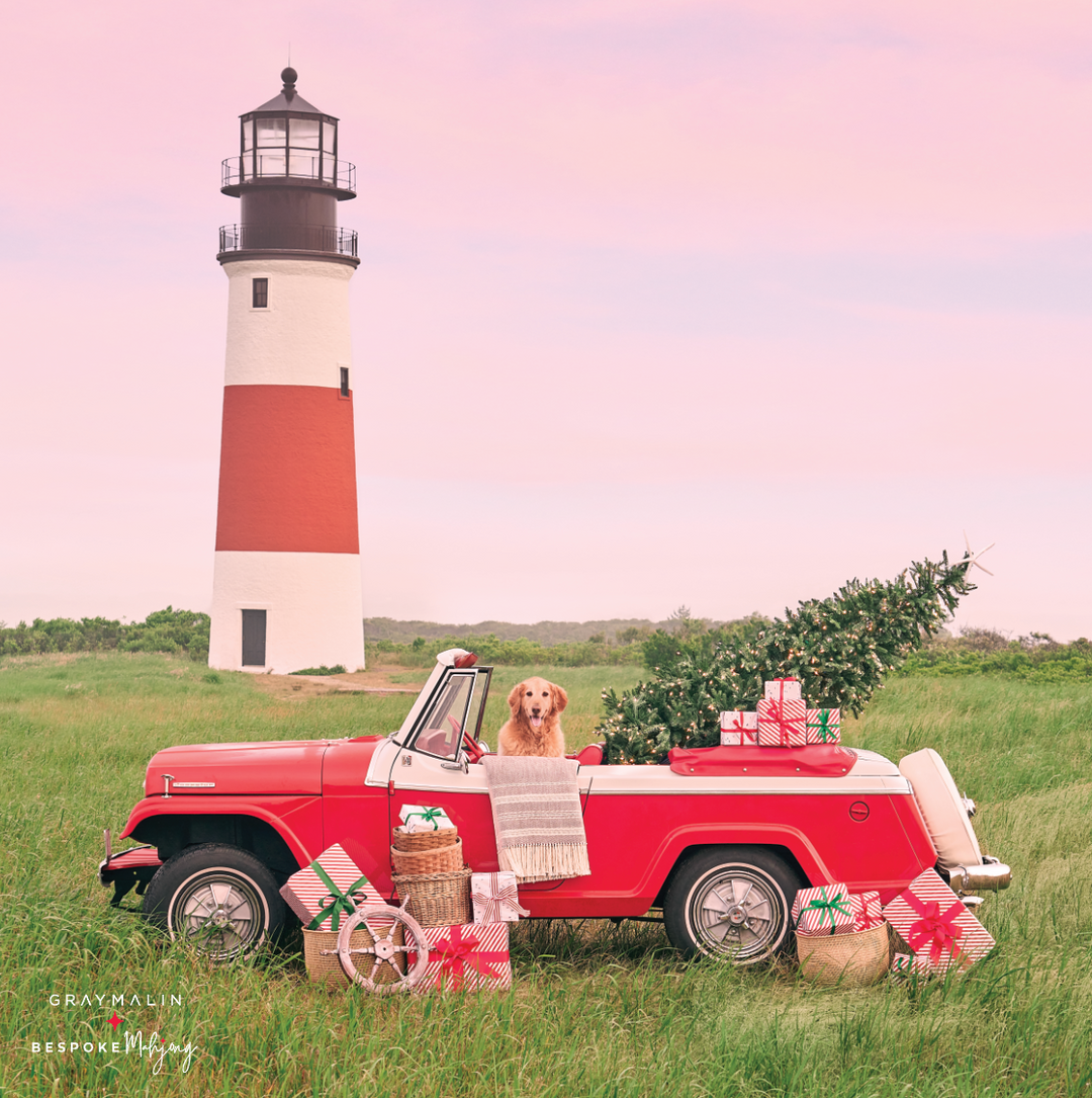 DOUBLE-SIDED MAT | Double the Fun/Bespoke x Gray Malin - A Very Merry Getaway Double-Sided Mat