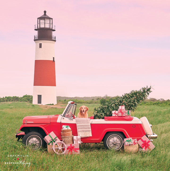 DOUBLE-SIDED MAT | Double the Fun/Bespoke x Gray Malin - A Very Merry Getaway Double-Sided Mat